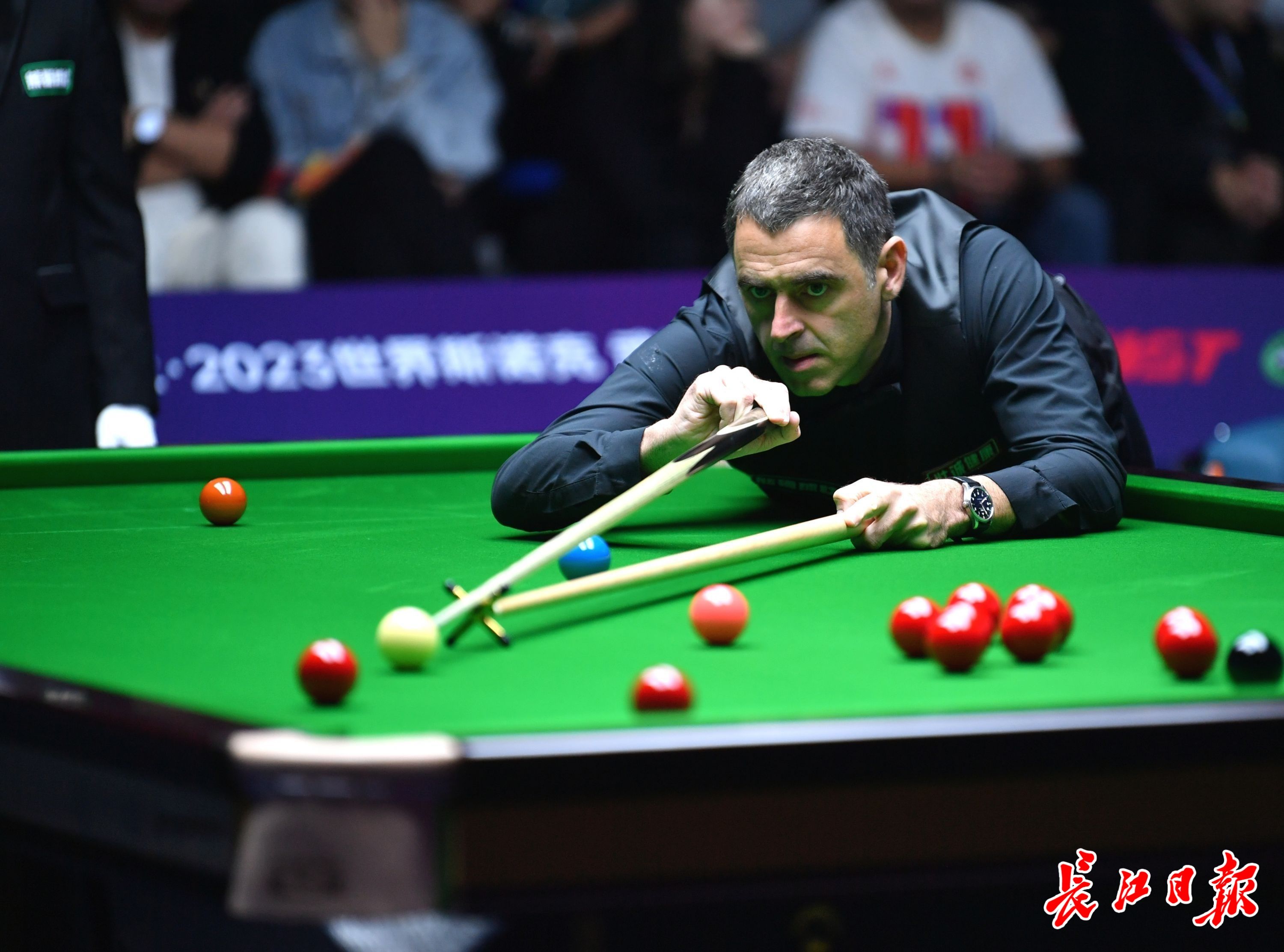 他的壮实身 他的壮实身